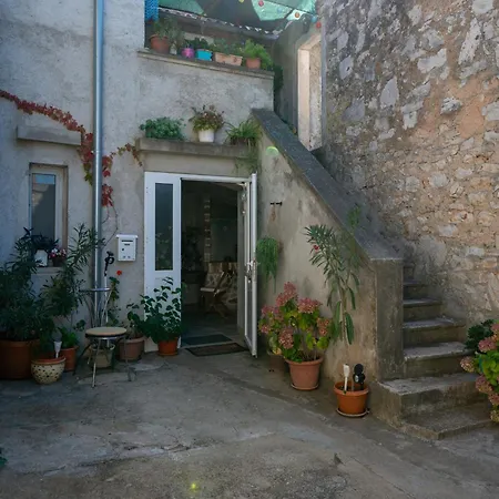 With Wifi Zaglav, Dugi Otok - 23614 *