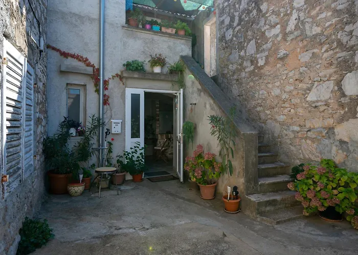 With Wifi Zaglav, Dugi Otok - 23614 *